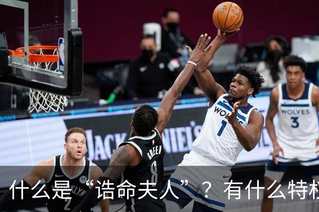 什么是“诰命夫人”？有什么特权和好处
