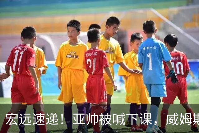 宏远速递！亚帅被喊下课，威姆斯在线投简历，杜锋真被冤枉了