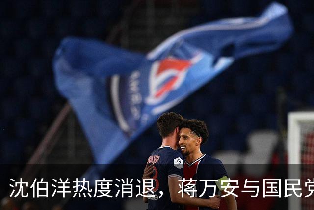沈伯洋热度消退，蒋万安与国民党已全面反攻，赵少康要将功赎罪？
